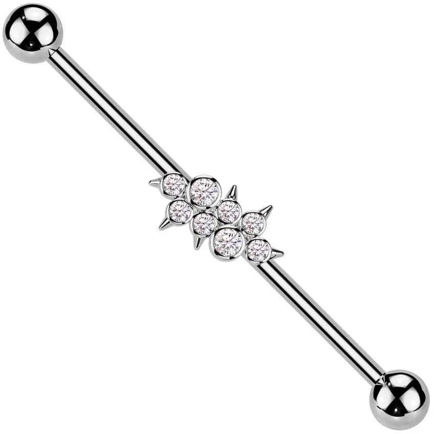 Industrial Barbell zirconias spikes