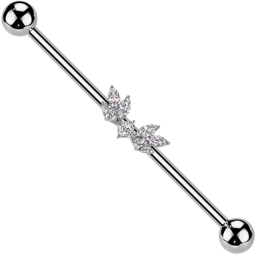 Industrial Barbell wings zirconias