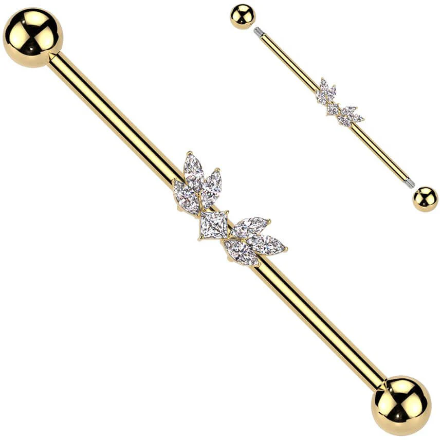 Industrial Barbell wings zirconias - Image 3