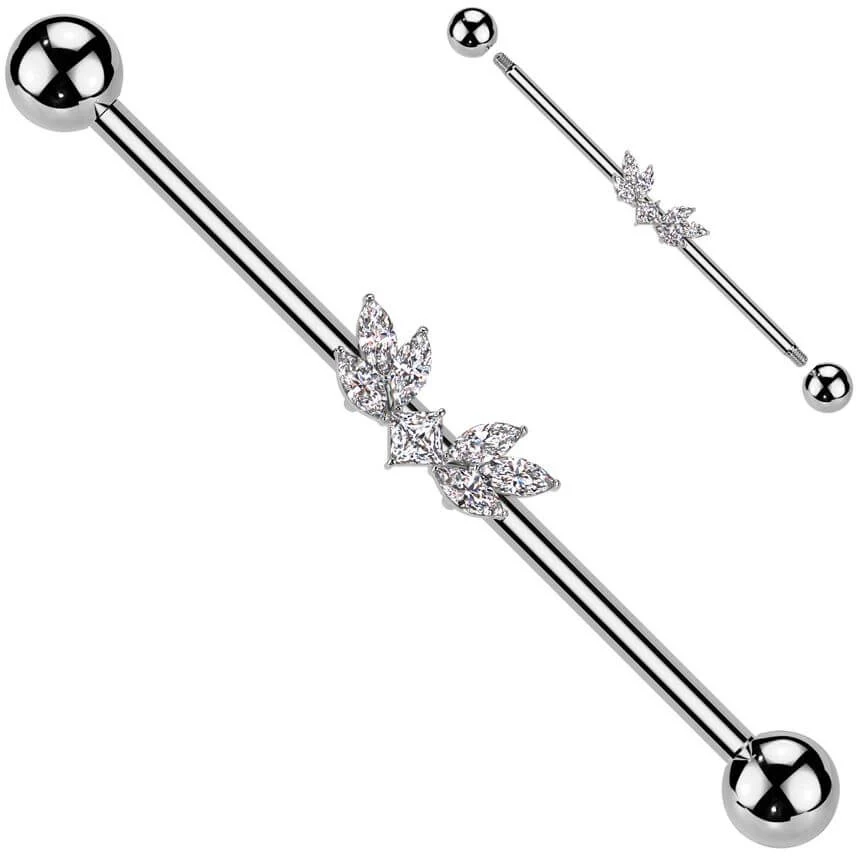 Industrial Barbell wings zirconias - Image 4
