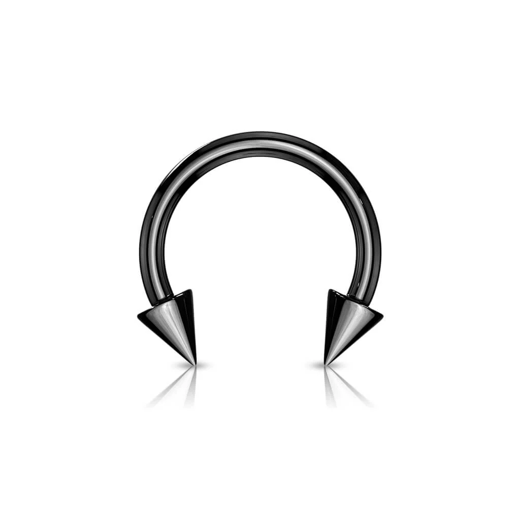 Horseshoe Rainbow spike - Image 10