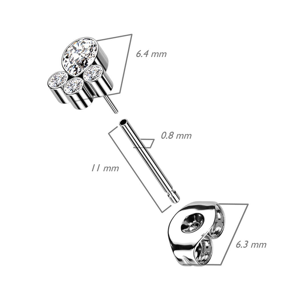 Titanium Paws Zirconia Silver - Image 3