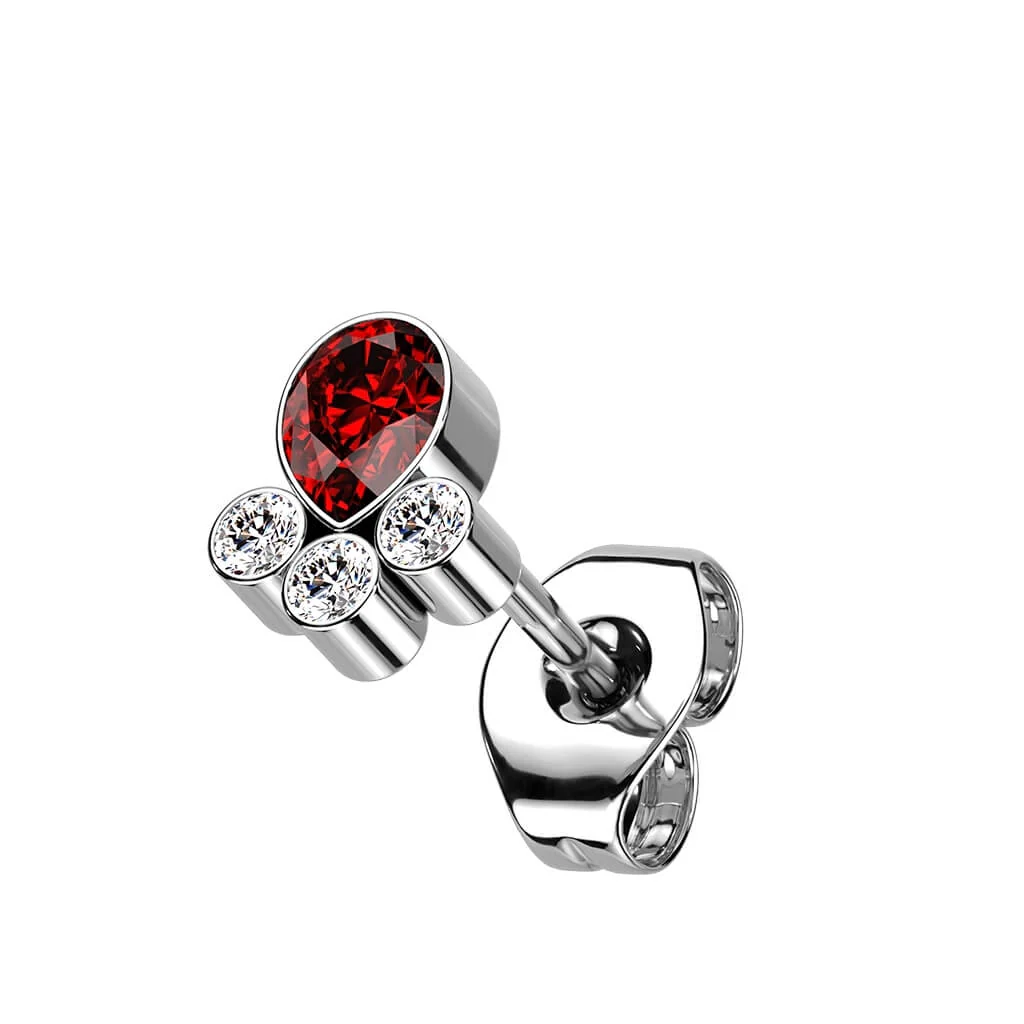Titanium Paws Zirconia Silver - Image 5