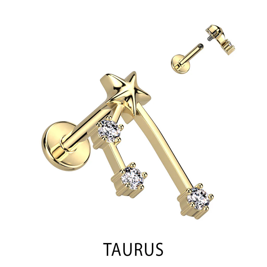 Labret Zodiac sign Zirconia Gold Internally Threaded - Image 11