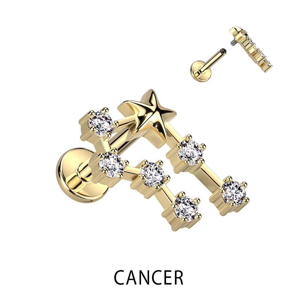 Labret Zodiac sign Zirconia Gold Internally Threaded - Image 12