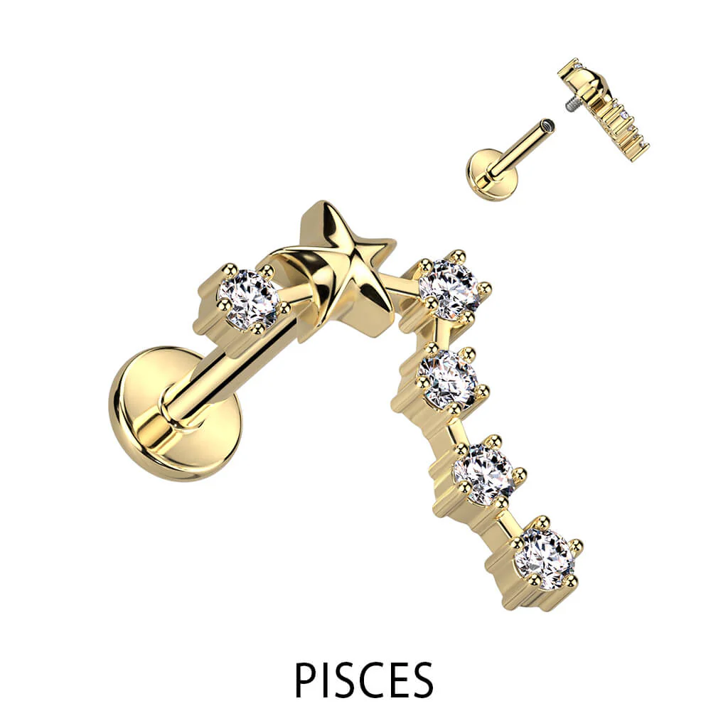 Labret Zodiac sign Zirconia Gold Internally Threaded - Image 8