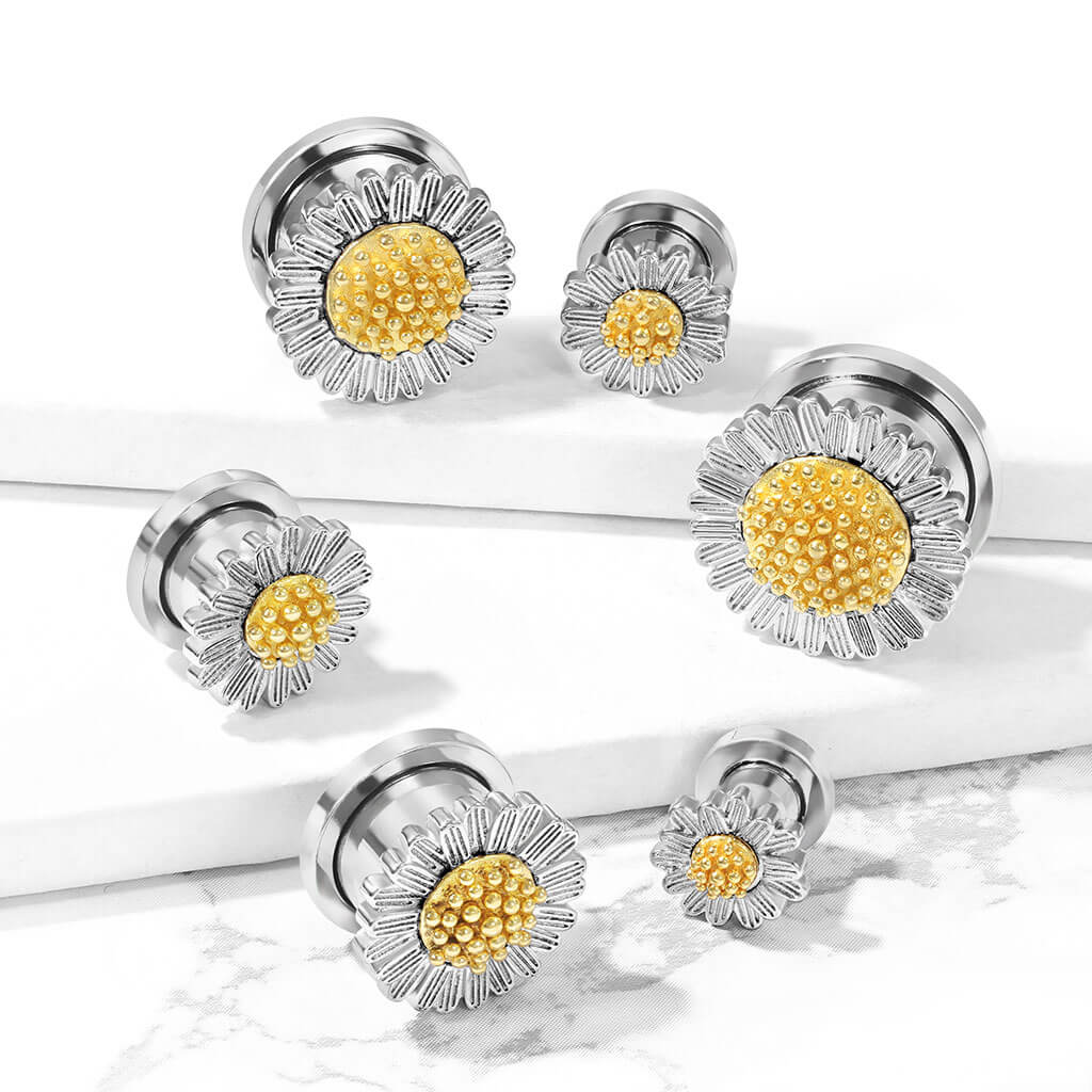 Plug Sunflower - Image 4