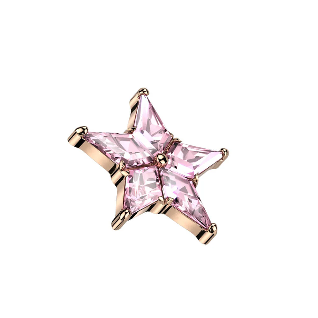 Top Star Zirconia Internally Threaded - Image 4