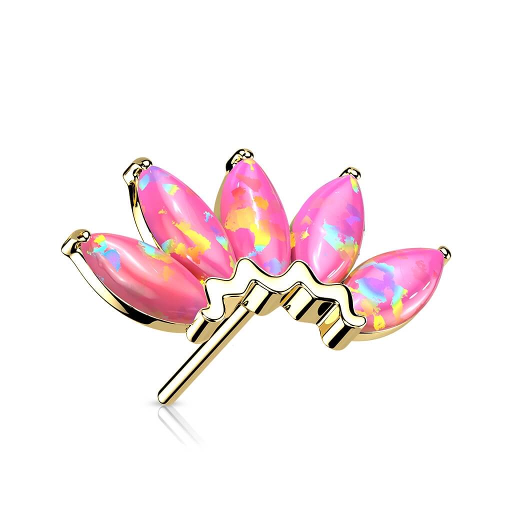 Solid Gold 14 Carat top 5 opals marquise cut Push-In - Image 10