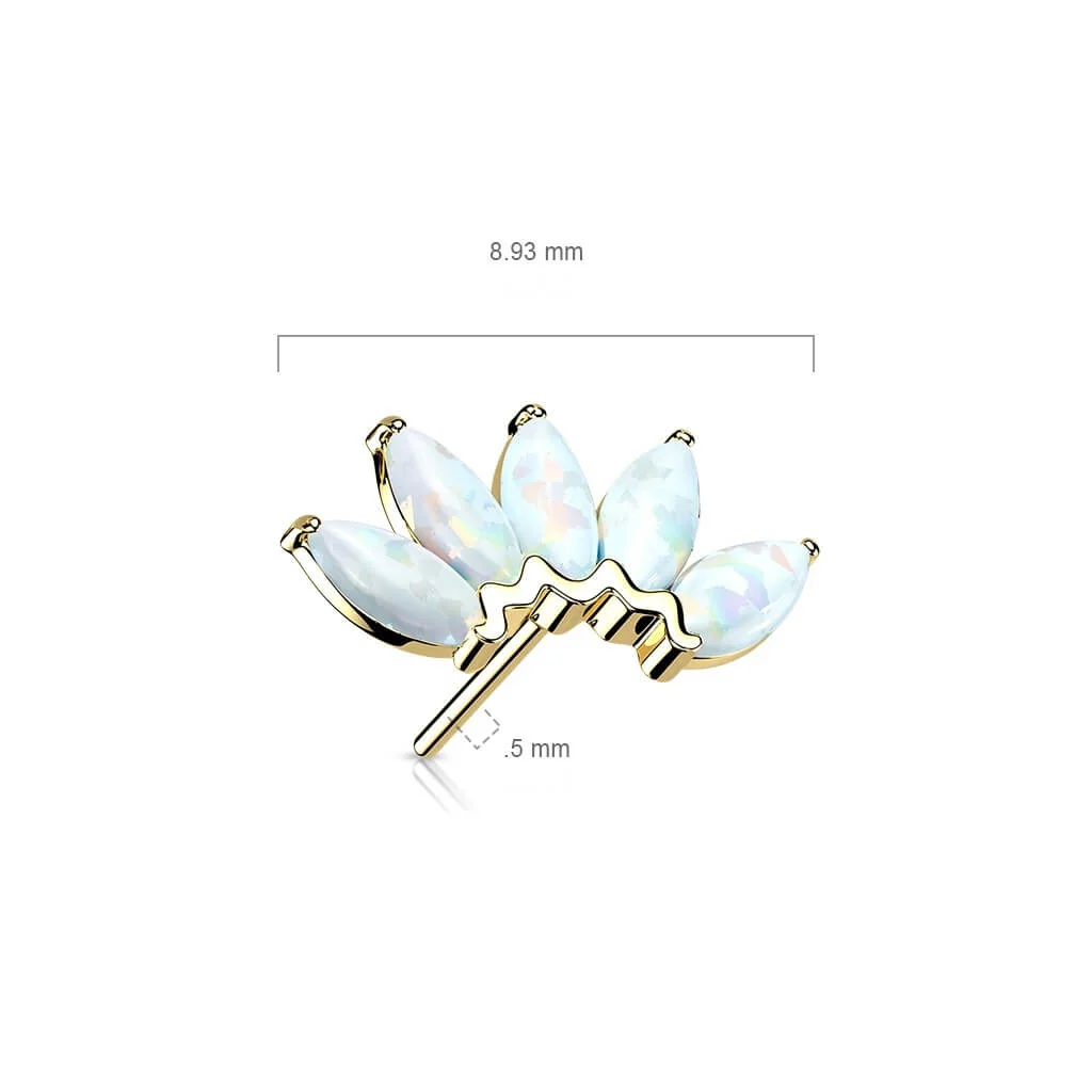 Solid Gold 14 Carat top 5 opals marquise cut Push-In - Image 2