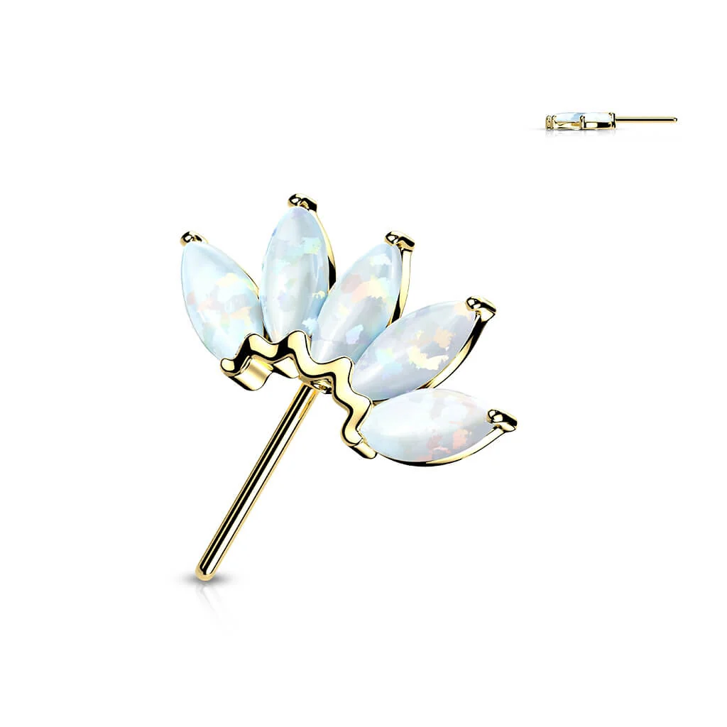 Solid Gold 14 Carat top 5 opals marquise cut Push-In - Image 10