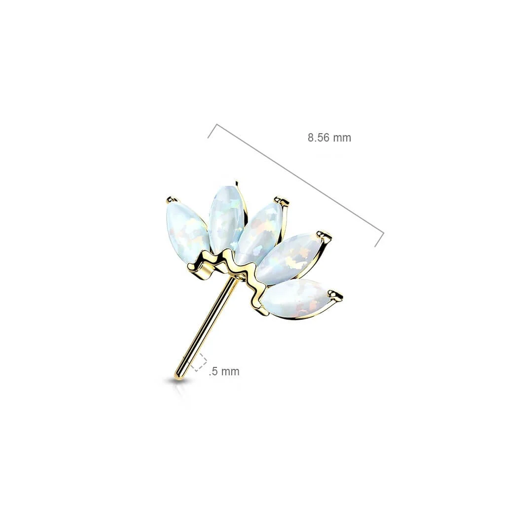 Solid Gold 14 Carat top 5 opals marquise cut Push-In - Image 3