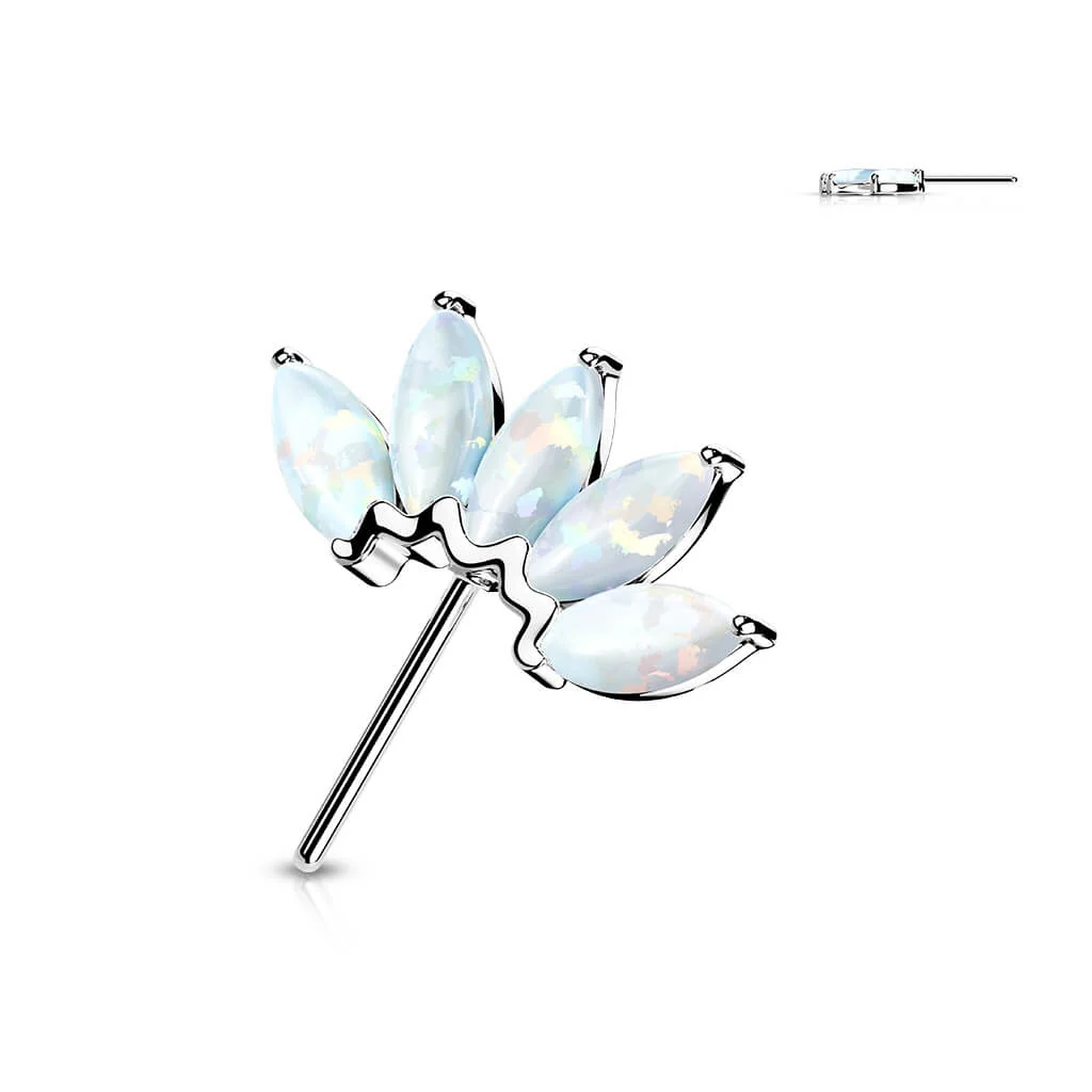 Solid Gold 14 Carat top 5 opals marquise cut Push-In - Image 4