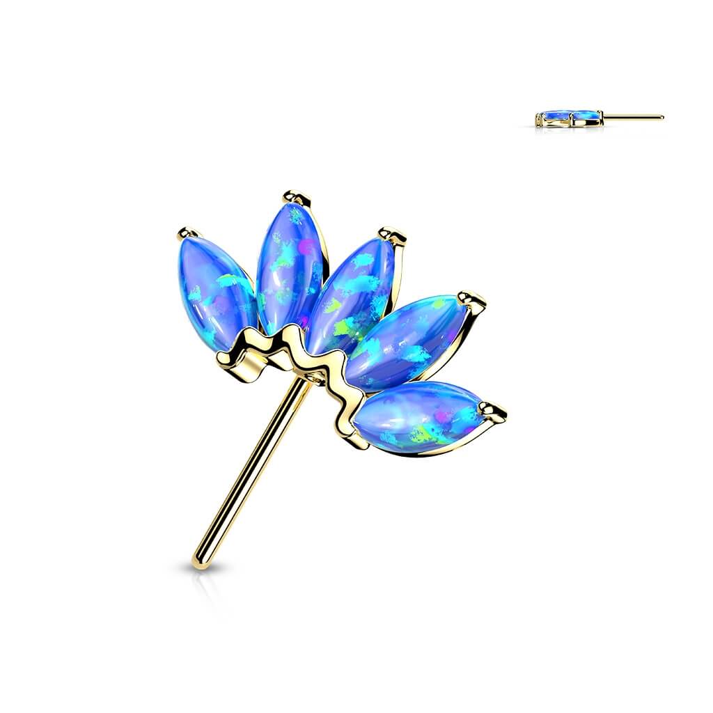 Solid Gold 14 Carat top 5 opals marquise cut Push-In - Image 9
