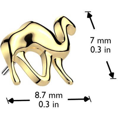 Titanium top camel Push-In - Image 2