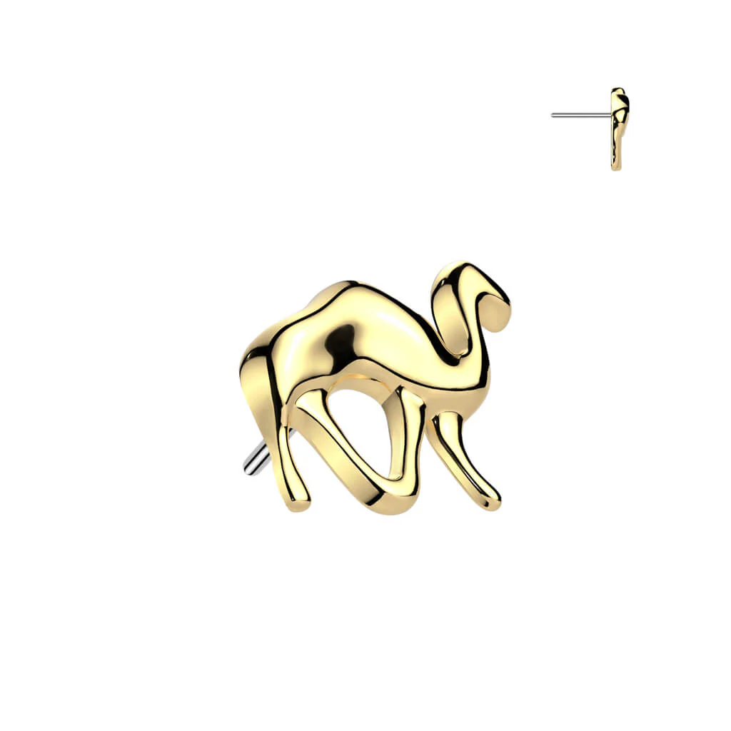Titanium top camel Push-In - Image 4