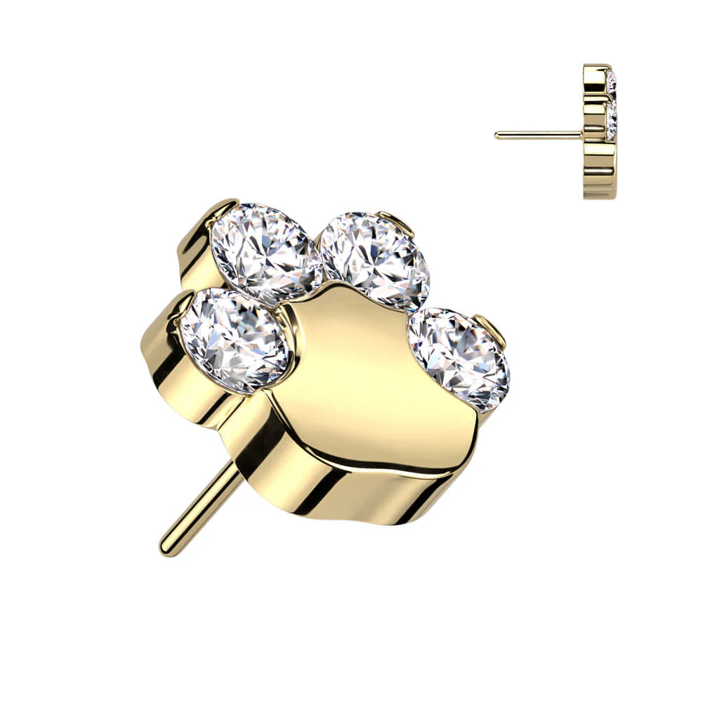 Titanium top paw zirconias Push-In - Image 5