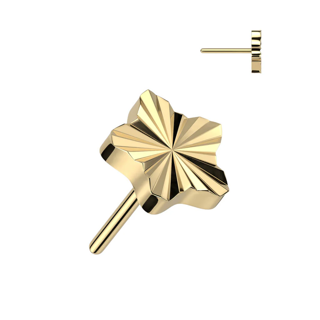 Titanium Top Star Diamond Cut Push-In - Image 2