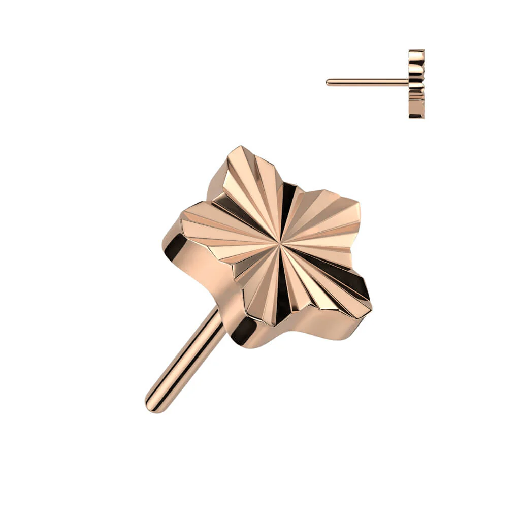 Titanium Top Star Diamond Cut Push-In - Image 5