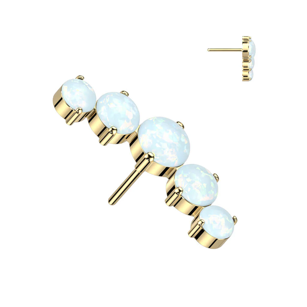 Titanium top 5 round opals Push-In - Image 2