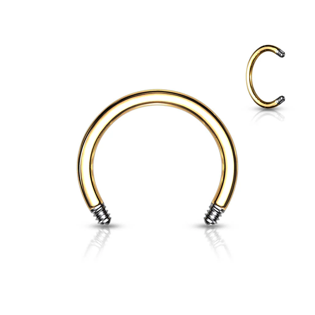 horseshoe pin - Image 4