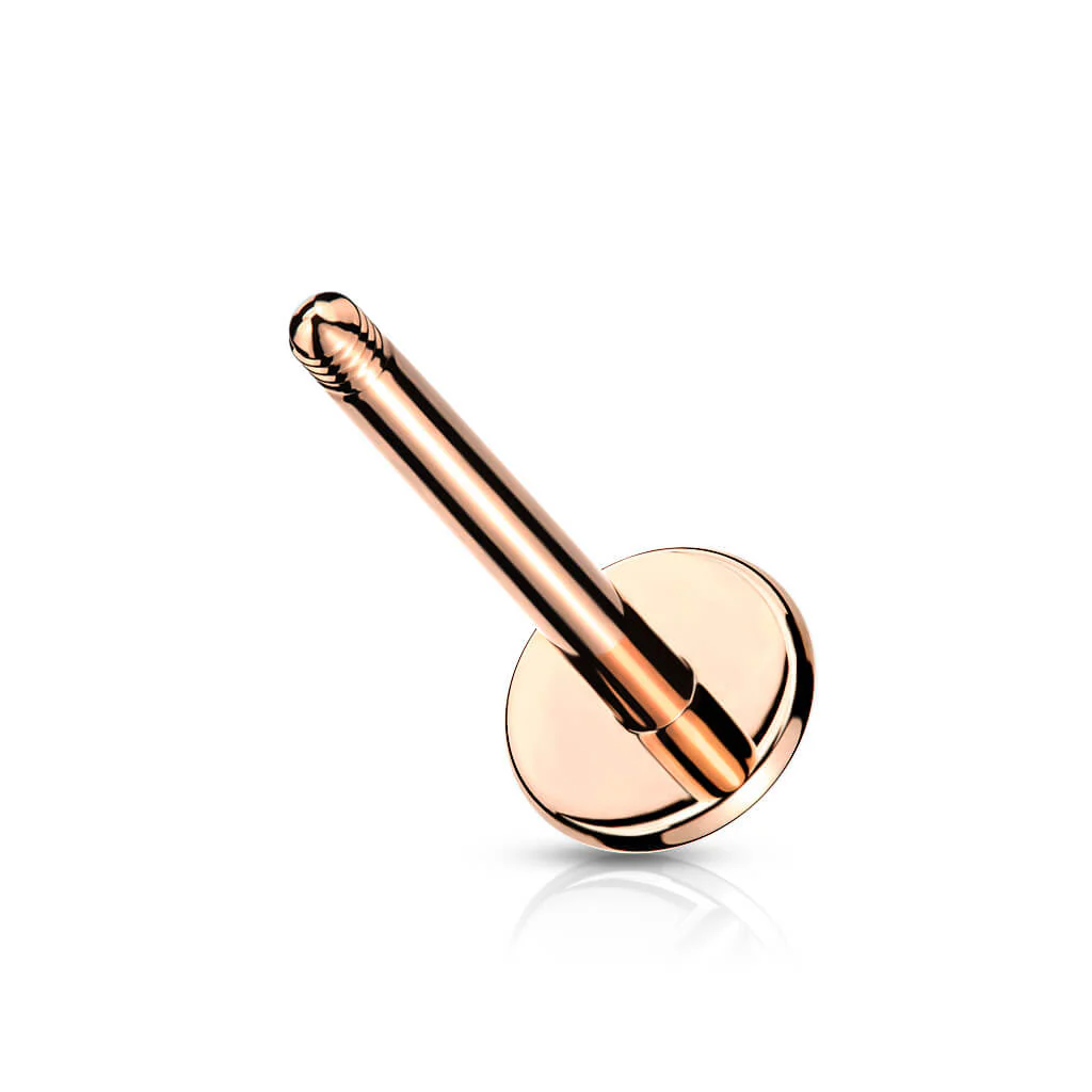 labret base flat back - Image 7