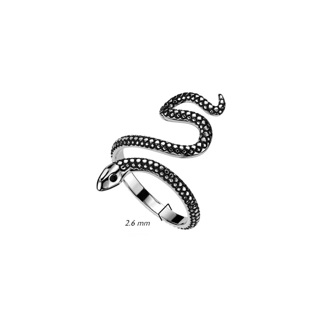 Snake Silver - Image 2