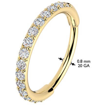 Ring zirconias Segment - Image 2