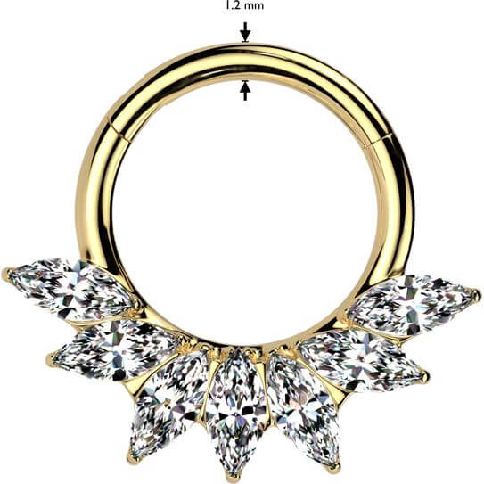 Titanium Ring 7 marquise cut zirconia Segment - Image 2