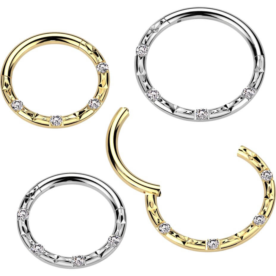 Titanium Ring 4 zirconia faceted cuts Segment - Image 2