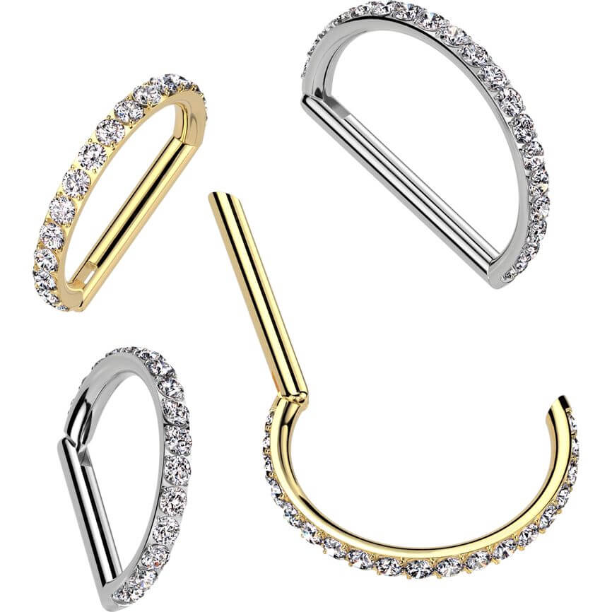 Titanium Ring zirconia Segment - Image 3