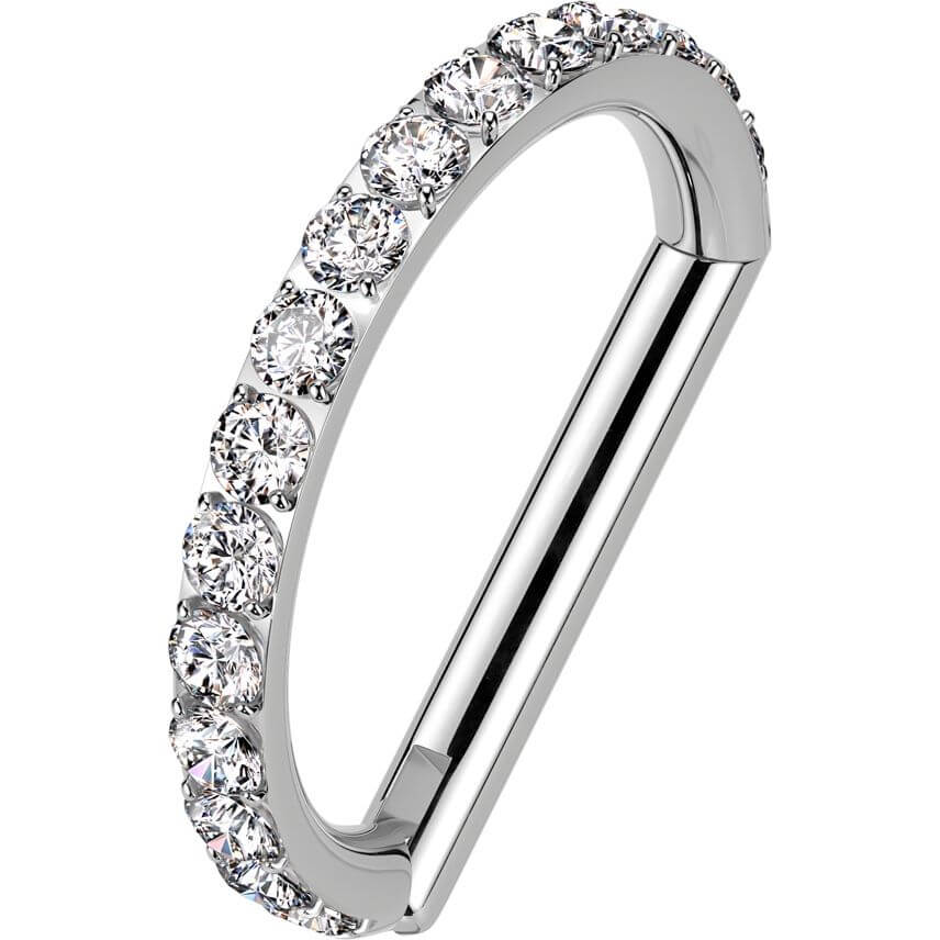Titanium Ring zirconia Segment - Image 5