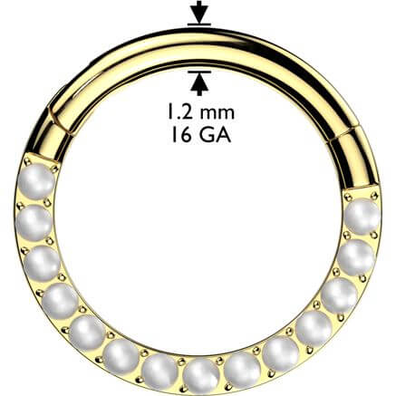Titanium Ring pearls Segment - Image 2