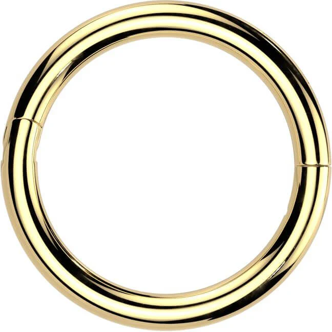 Titanium Ring universal Segment - Image 4