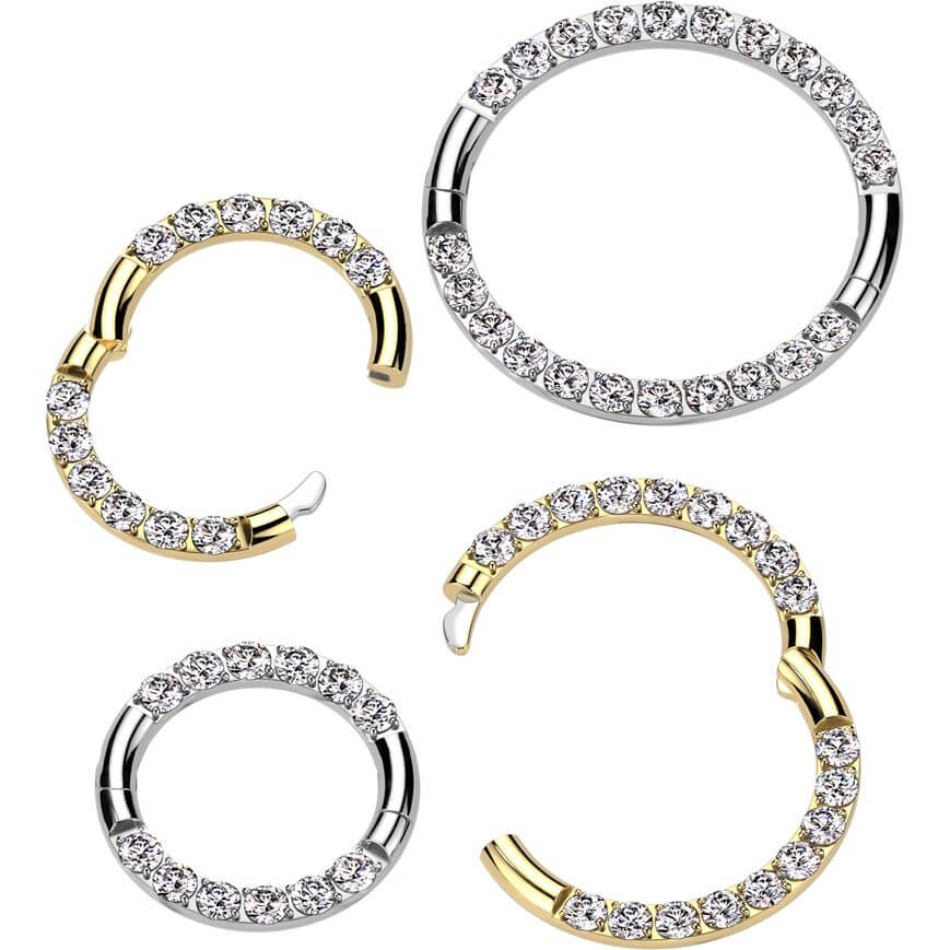 Titanium Ring zirconia row Segment - Image 2