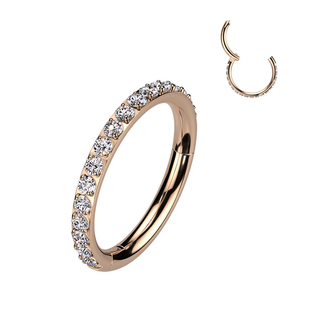 Titanium Ring Zirconia Segment - Image 11