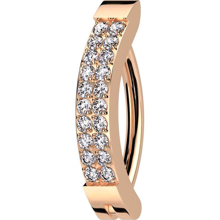 Titanium Ring double line zirconia Clicker - Image 6