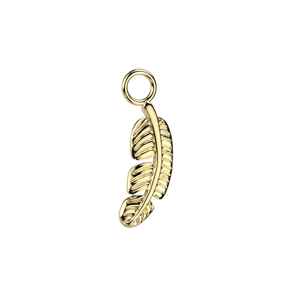 Titanium Attachment Feather - Image 3