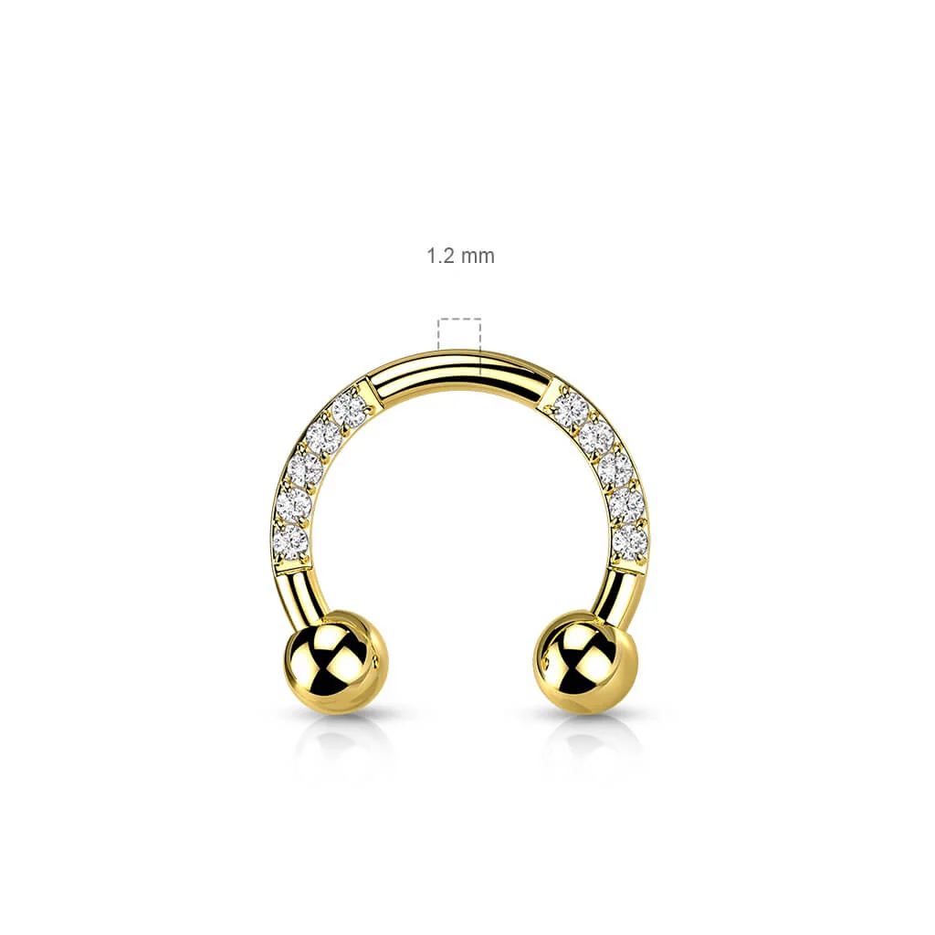 Titanium Horseshoe Zirconia - Image 3