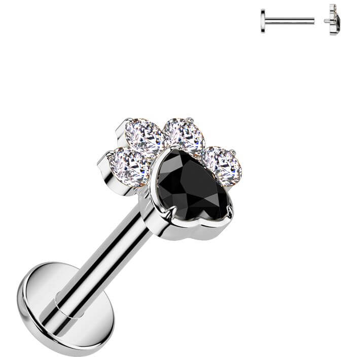 Titanium Labret paw zirconia Internally Threaded - Image 10