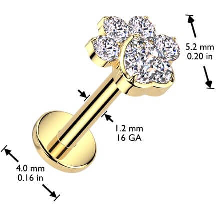 Titanium Labret paw zirconia Internally Threaded - Image 4