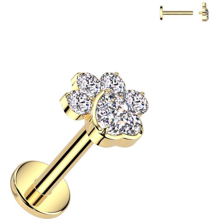 Titanium Labret paw zirconia Internally Threaded - Image 5