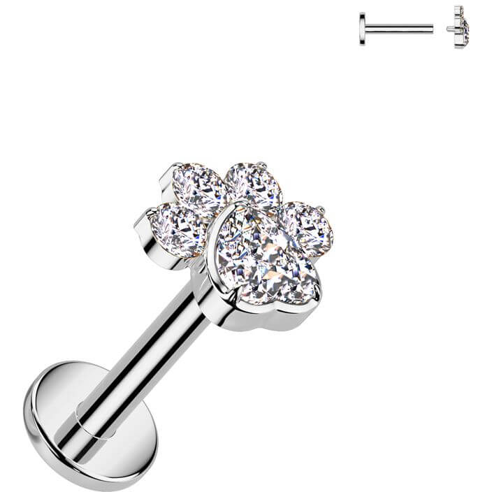 Titanium Labret paw zirconia Internally Threaded - Image 6