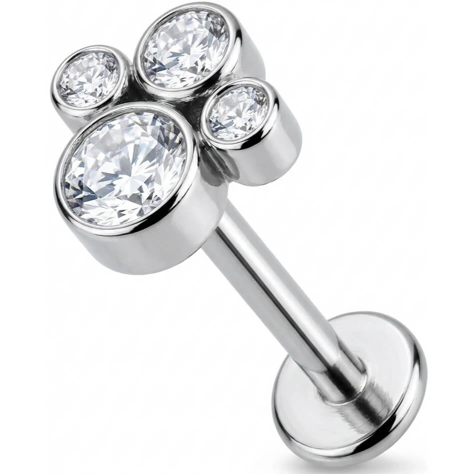Titanium Labret Clear Crystal Paw Print